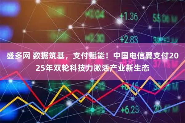 盛多网 数据筑基，支付赋能！中国电信翼支付2025年双轮科技力激活产业新生态
