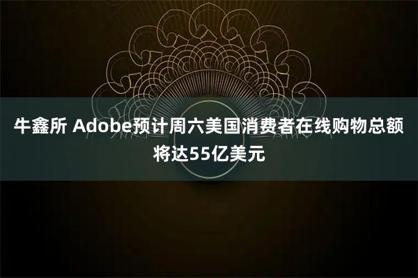 牛鑫所 Adobe预计周六美国消费者在线购物总额将达55亿美元