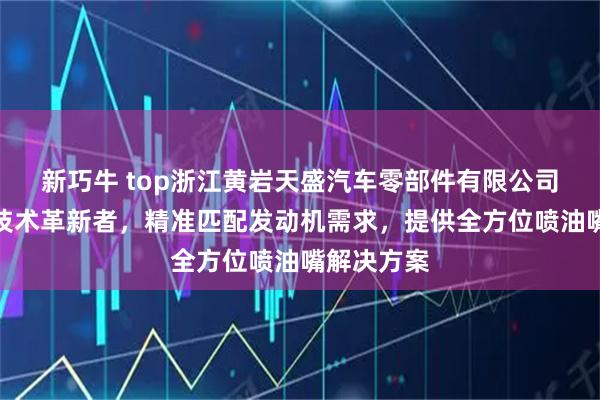 新巧牛 top浙江黄岩天盛汽车零部件有限公司：喷油嘴技术革新者，精准匹配发动机需求，提供全方位喷油嘴解决方案